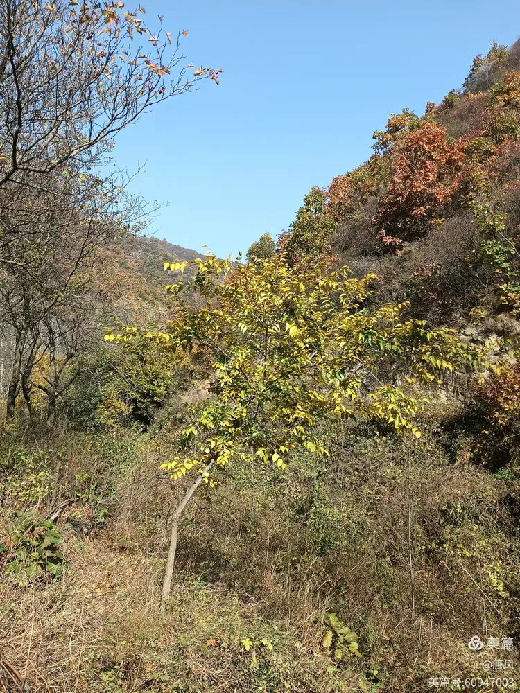 绛县紫家峪印象